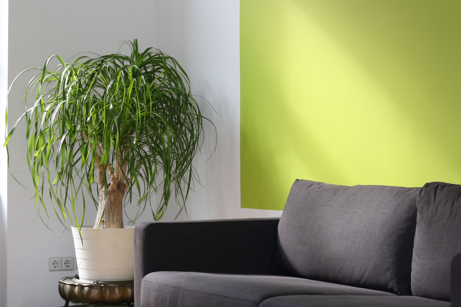 The Decorating Mistakes I See Beginners Make Over and Over - decorating basics